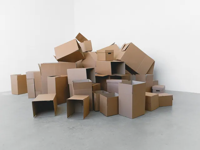 Move-In & Move-Out Cleaning